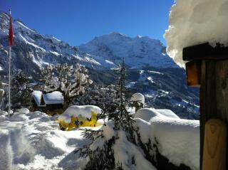 Hotel Bellevue - Traditional Swiss Hideaway - 1