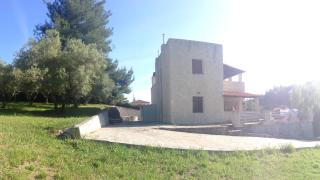 Garden House - Agia Paraskevi - 7