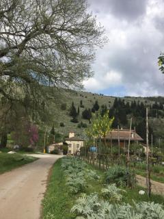 La Fonte - Sala Consilina - 5