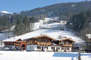Chalets Aue - Hart im Zillertal - 9