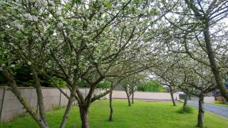Gite Le Patelot - Saint-Germain-sur-Ay - 6