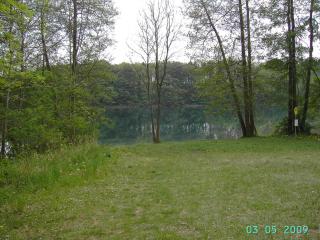 Ferienwohnung Luzinblick - Feldberg - 3