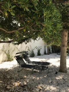Giardini 82 B&B - Gravina in Puglia - 3