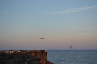 Hotel Diamanti - Sozopol - 7
