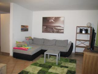 Haus-Deichläufer - 8