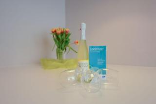 FeWo City Appartement 2 - Markdorf - 6