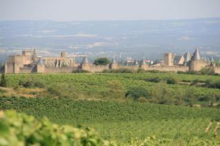 La Maison sur la Colline - Carcassonne - 2