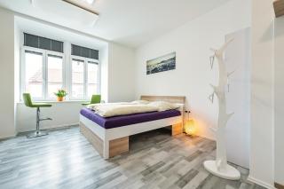 Allram "TopSleep" 24 hours checkin - Waidhofen an der Thaya - 1