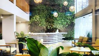 Royal Dragon Boutique Hotel Tan Binh - Ho-Chi-Minh-Stadt - 9