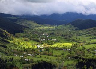 Black Forest Hotel - Savsat - 3