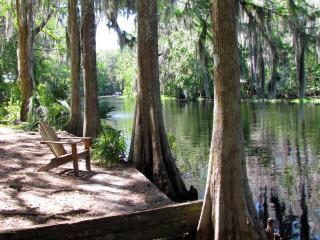 The Yearling Cabins - Cross Creek - 5