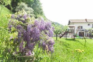 Sobe Bača - Most na Soči - 3