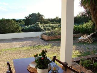 Apartamentos Laura Playa de Migjorn - Playa Migjorn - 7