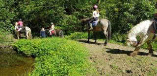 Peacock Lodge - Sleeps 4 - 2 Bedrooms - 2