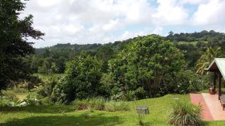 Villa Vivi - Gros-Morne - 1