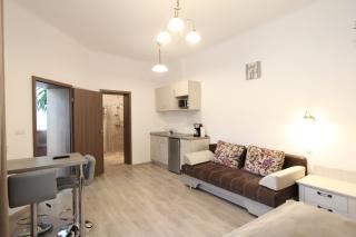 Central Parc Studios - Sibiu - 9