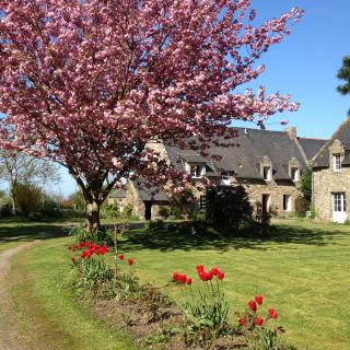 Maison d'hôtes "Bienlivien" - Saint-Coulomb - 8