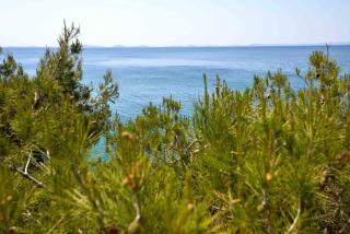 Sea Side Apartment - Murter - 9