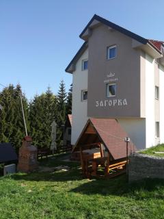 Villa Zagorka and mountain houses A, M, D - Kopaonik - 9