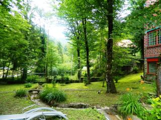 Samobor holiday villa - Samoborski ljetnikovac - Samobor - 8