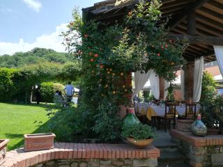 Osteria I'Casolare - San Giovanni Valdarno - 8