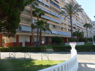 Family and Friends - San Juan Playa - Alicante - 7