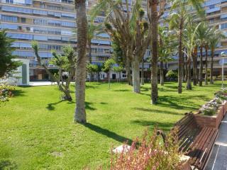 Family and Friends - San Juan Playa - Alicante - 4
