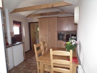 The Barn, Lower Spring - Tavistock - 2