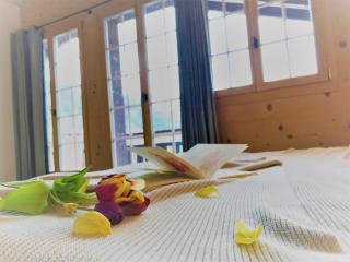 Chalet ELK Lenk - 1
