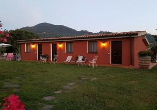 Tenuta Col di Sasso - Scarlino - 6
