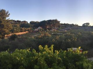 Apartment Mirela - 3