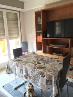 Appartement cosy et agreable - Cagnes-sur-Mer - 1