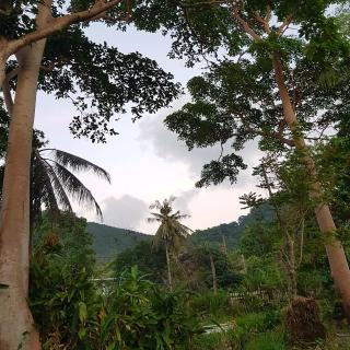 ฺBay Yard Hut - Ko Chang - 2