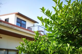Guest House Umusan - Nago - 5