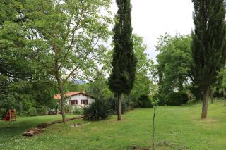 Boscodisotto - Rapolano Terme - 7