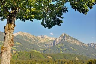 Hotel Alpenblick - 8