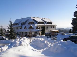 Hotel Waldesruh - Lengefeld - 4