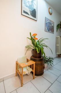 Penzion U Třeboňského kola - 2