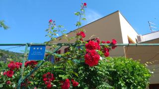 Apartment Dunja - Cres - 6