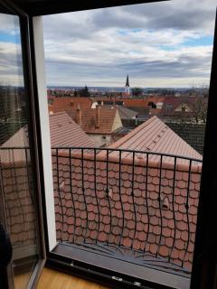 Villa Vinica - Limbach - 5
