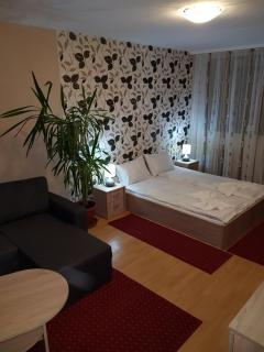 Coral Apartman - Pécs - 1