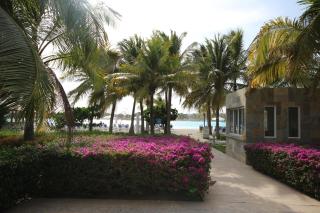 Playa Blanca Resort - Río Hato - 4