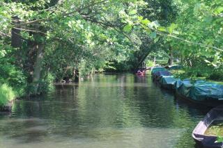 Spreewald Ferienwohnung Lübben - 7
