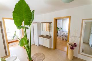 Apartma - Ormoz - 5