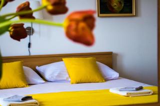 Apartmani blagaic - Maslinica - 1