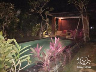 Mahesa Villa - Ubud - 0