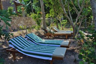 Atuh Forest Cottage - 1