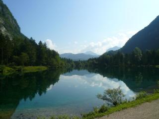 Goldener Ochs - Golling an der Salzach - 1