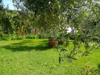 Kiteshomes - Masainas - 4