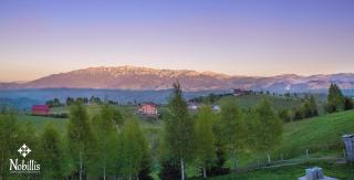 Nobillis - Carpathian Residence - Peştera - 8